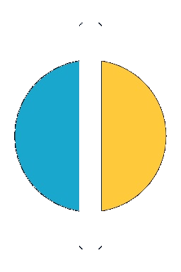 PhyDuet